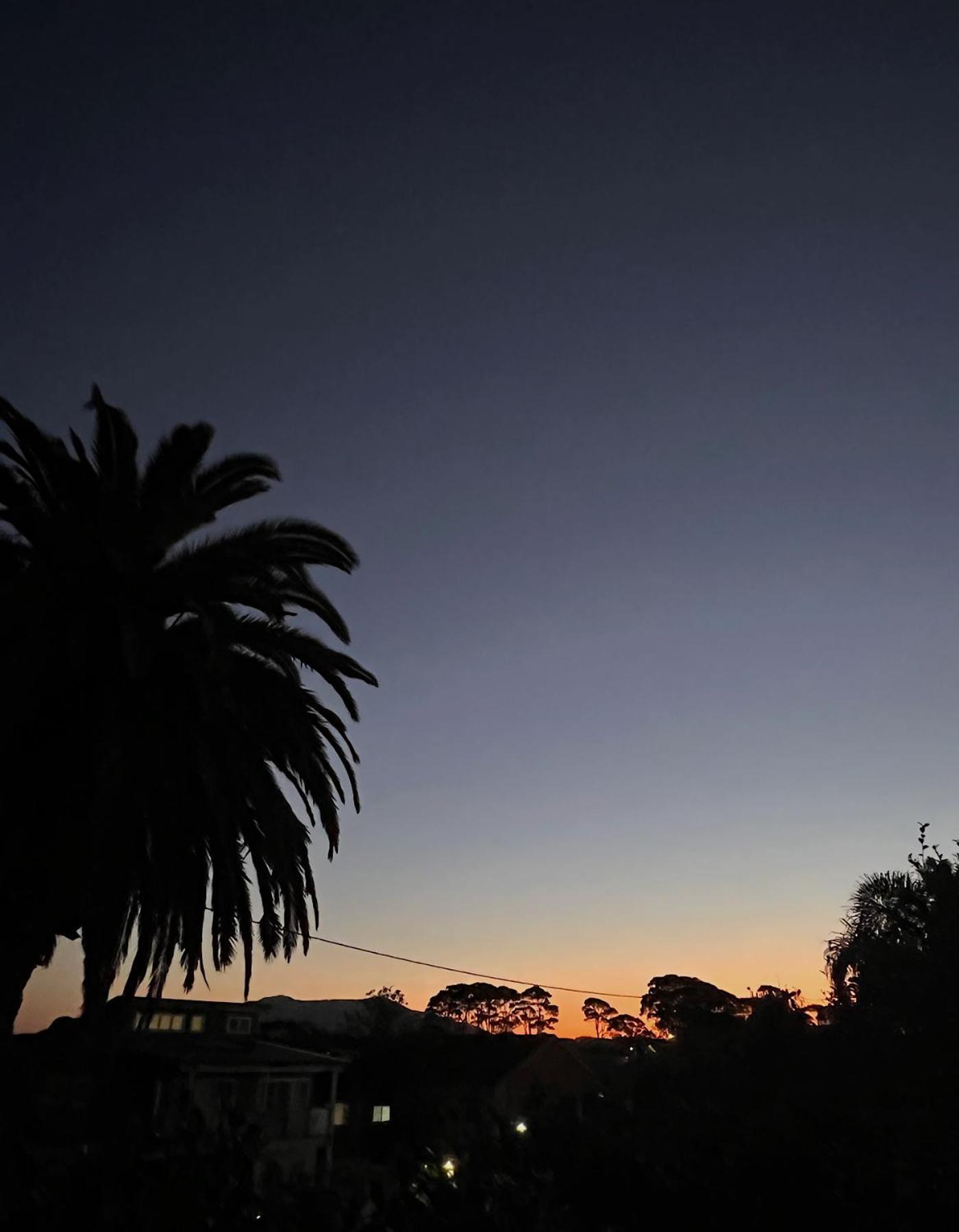 Narooma Palms Holiday Apartments Eksteriør bilde